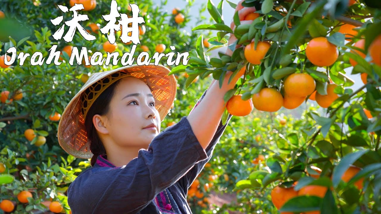 Youtube video thumbnail from Dianxi Xiaoge's channel.